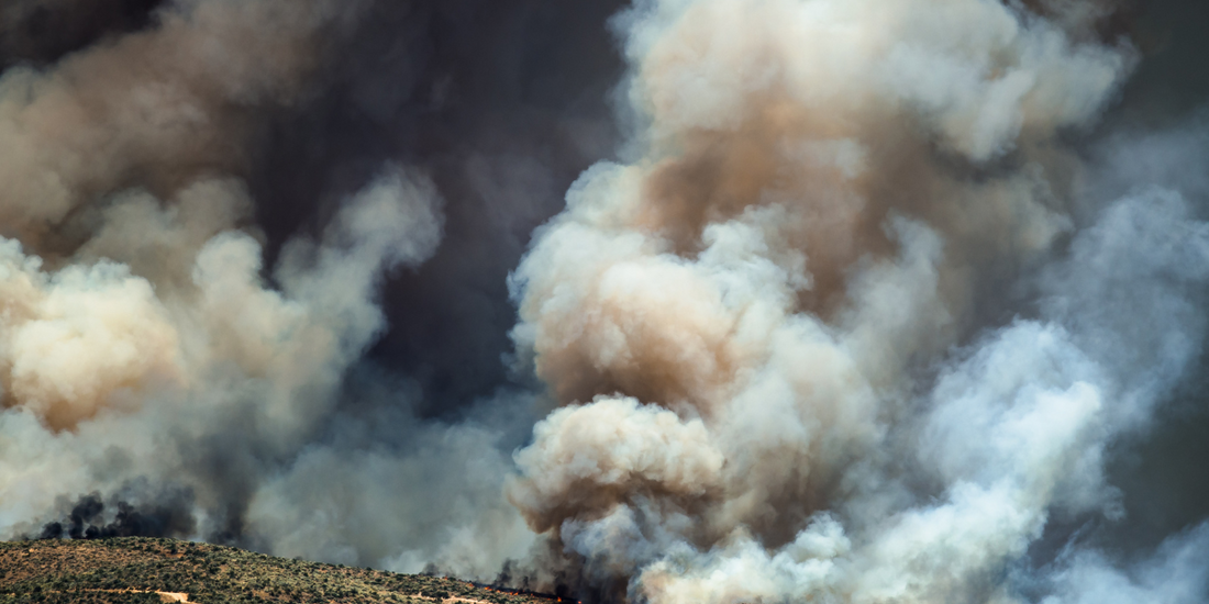 Can Air Purifiers Protect You From Canadian Wildfire Smoke?