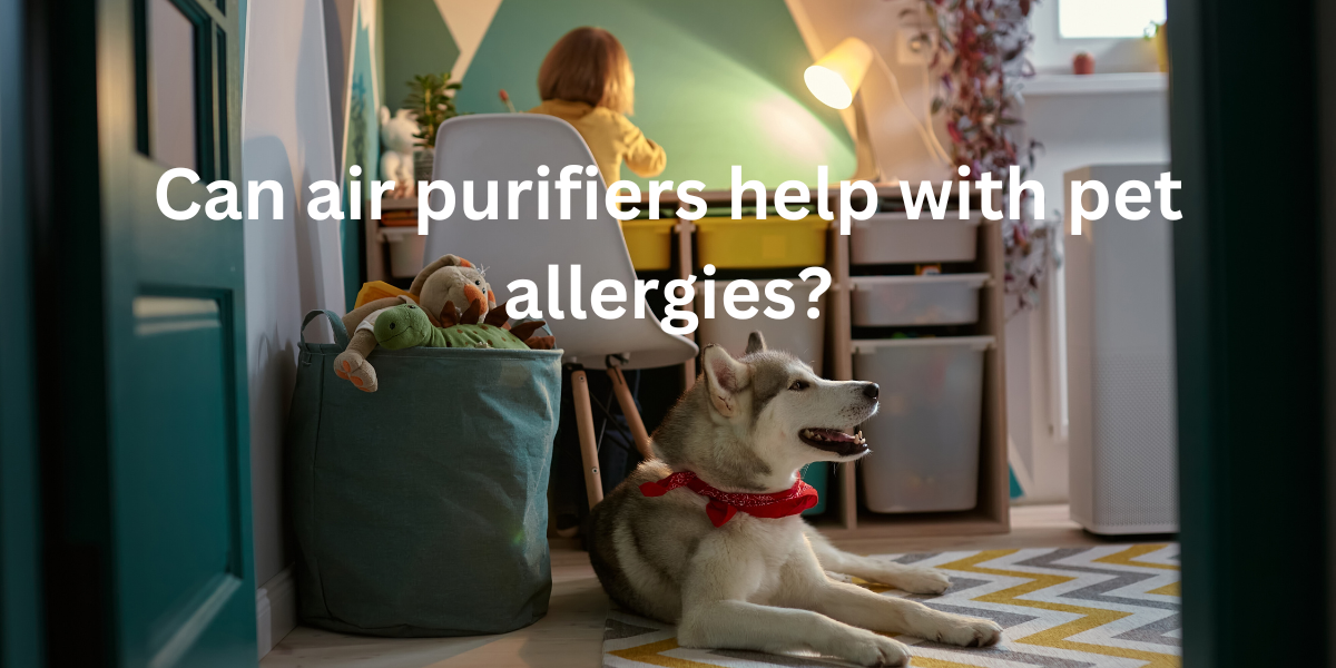 Can air purifiers help with pet allergies? Vewior