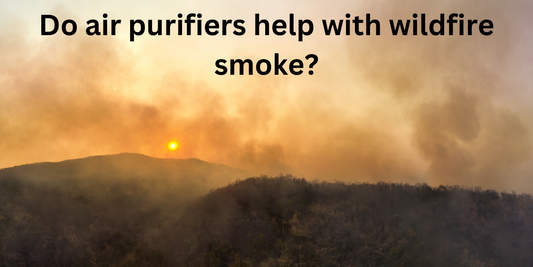 Do air purifiers help with wildfire smoke?