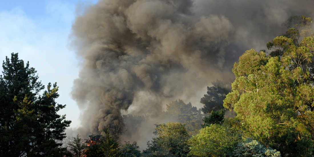 How Can I Clear My Home of Wildfire Smoke?