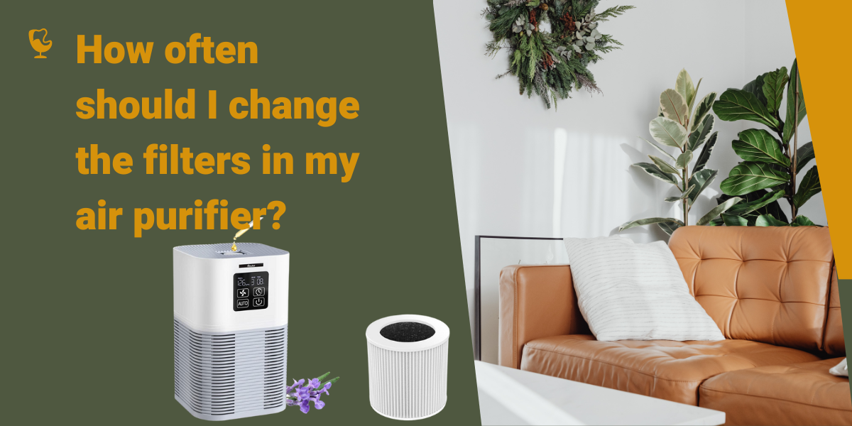 How often should I change the filters in my air purifier? Vewior