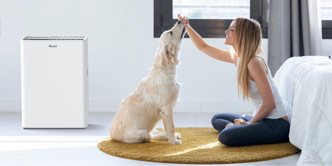 How to Clean an Air Purifier