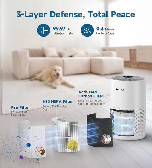 Vewior Air Purifier | D10N Vewior