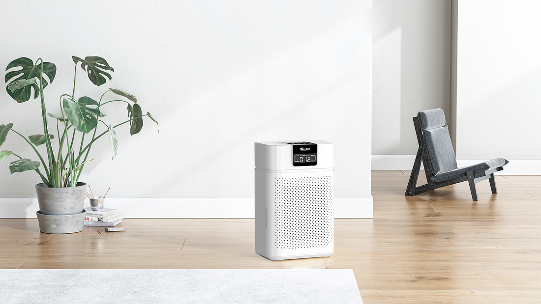 Can Air Purifiers Reduce Allergy Symptoms? A Comprehensive Guide