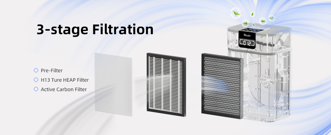 air purifier carbon filter discoloration replacement signs