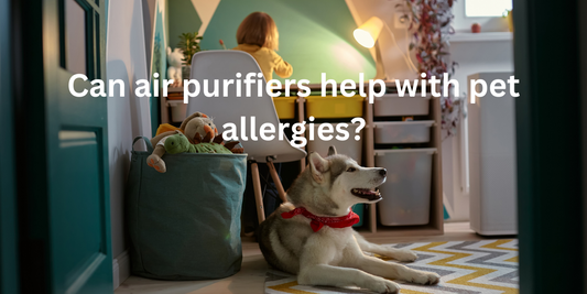 Can air purifiers help with pet allergies?