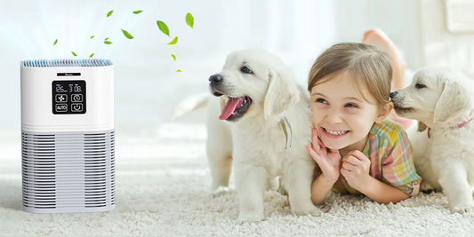 Can air purifiers remove pet dander?