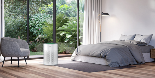 Is air purifiers worth it?
