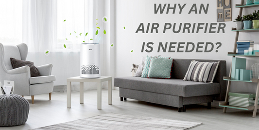 Why an air purifier is needed? 
