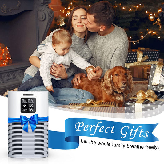 Air Purifier, Home Air Cleaner For Bedroom Large Room up to 600 sq.ft, VEWIOR H13 True HEPA Air Filter with Fragrance Sponge 6 Timer Settings Quiet Air Purifiers for Pets Dander Odor Dust Smoke Pollen Vewior